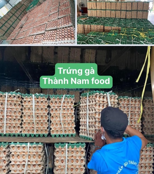 Trứng gà - Thực Phẩm Thành Nam - Công Ty TNHH MTV Nông Lâm Sản Thành Nam